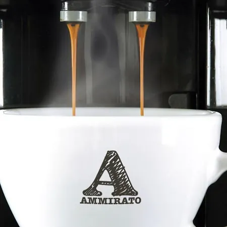 Boutique De Zwaluw Hotel