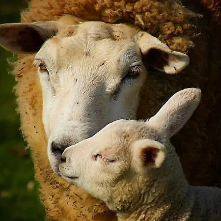 Boutique De Zwaluw De Koog (Texel)