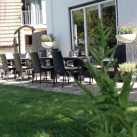 Hotell Boutique De Zwaluw