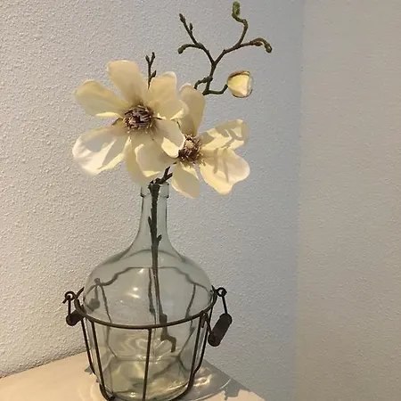 Boutique De Zwaluw Hotel