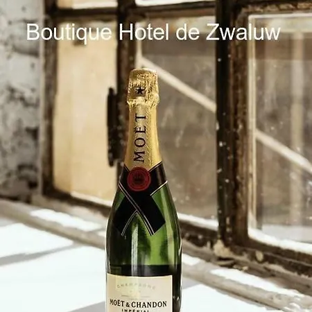 Boutique De Zwaluw Hotell 3*