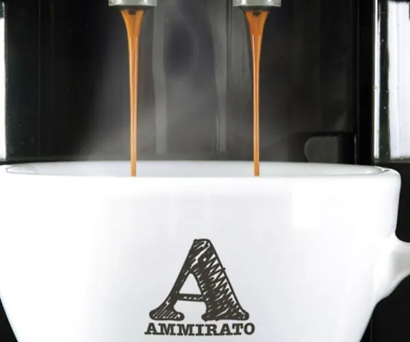 Boutique De Zwaluw Hotel