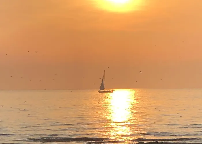 Boutique De Zwaluw Hotel De Koog (Texel)