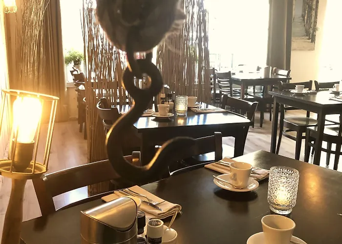 Boutique De Zwaluw 3*