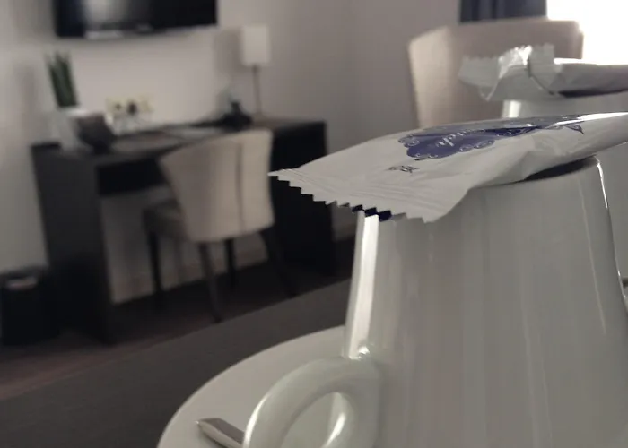 Hotel Boutique De Zwaluw 3*