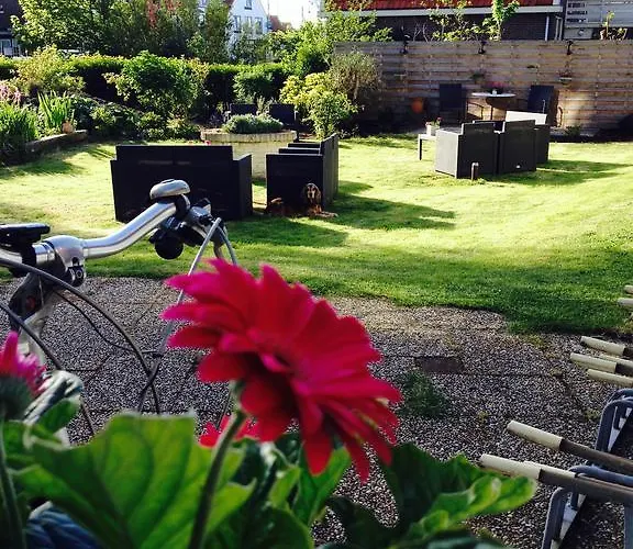 Boutique De Zwaluw Hotel 3*