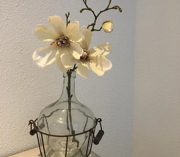 Boutique De Zwaluw Hotel