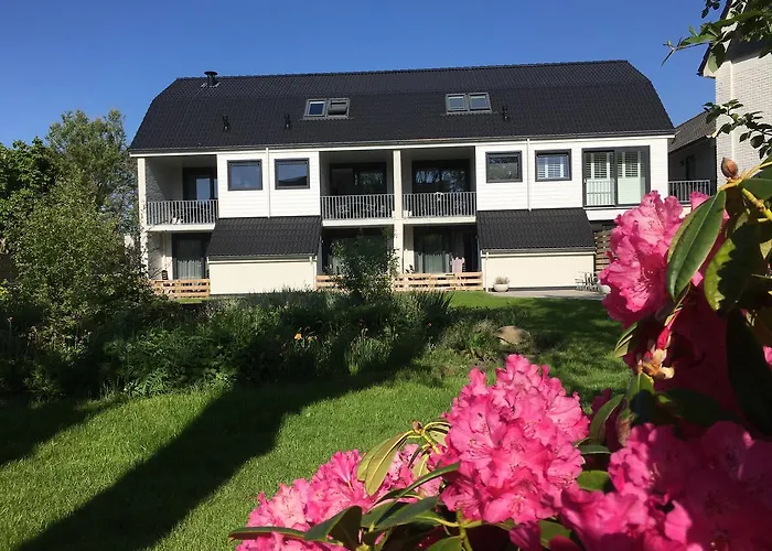 Boutique De Zwaluw Hotel De Koog (Texel)