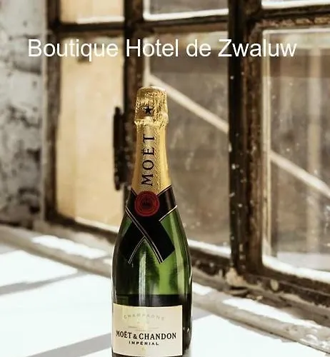 Boutique De Zwaluw Hotel 3*