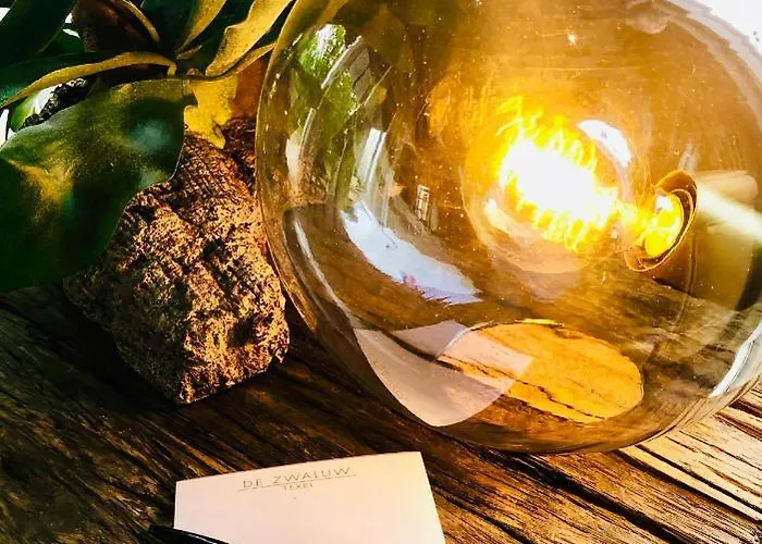 Boutique De Zwaluw Hotel 3*