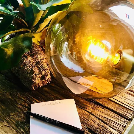 Boutique De Zwaluw Hotel 3*